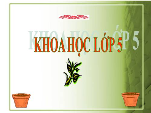 Bài 53. Cây con mọc lên từ hạt