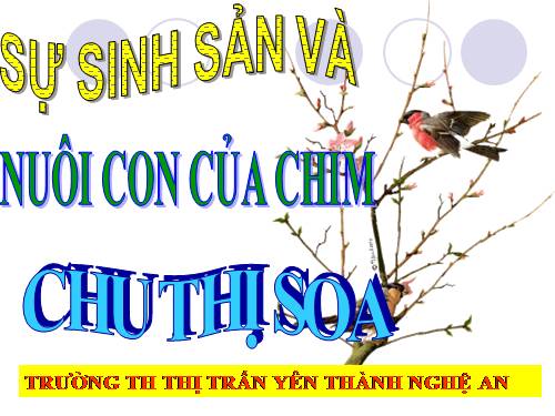 Bài 58. Sự sinh sản và nuôi con của chim