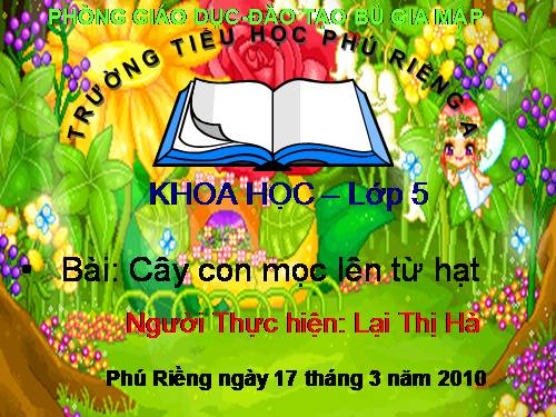 Bài 53. Cây con mọc lên từ hạt