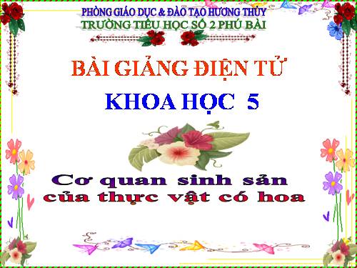 Bài 51. Cơ quan sinh sản của thực vật có hoa