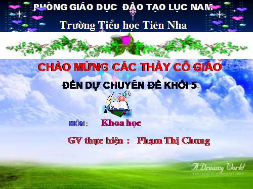 Bài 48. An toàn và tránh lãng phí khi sử dụng điện