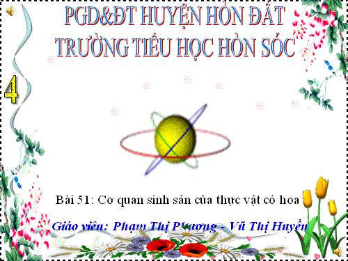 Bài 51. Cơ quan sinh sản của thực vật có hoa