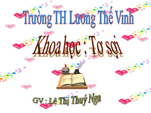 Bài 32. Tơ sợi