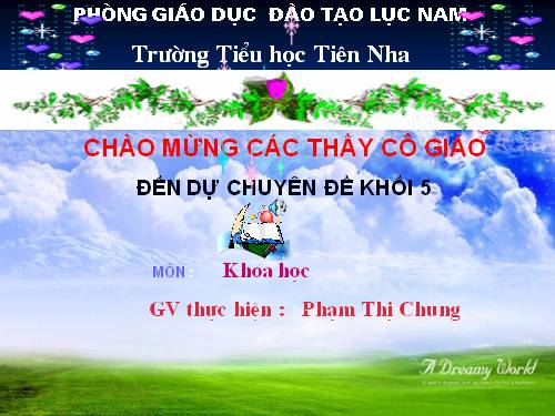 Bài 48. An toàn và tránh lãng phí khi sử dụng điện