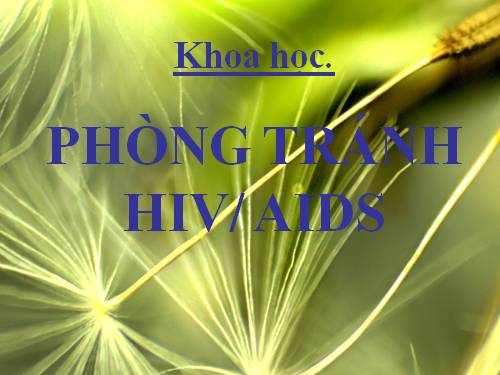 Bài 16. Phòng tránh HIV / AIDS