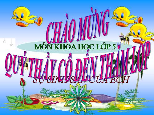 Bài 57. Sự sinh sản của ếch