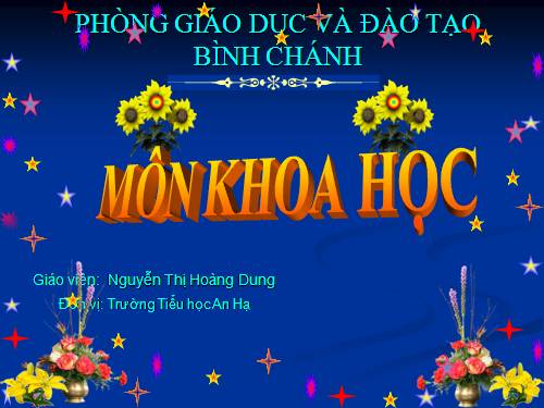 Bài 32. Tơ sợi
