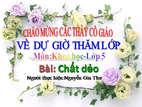 Bài 31. Chất dẻo