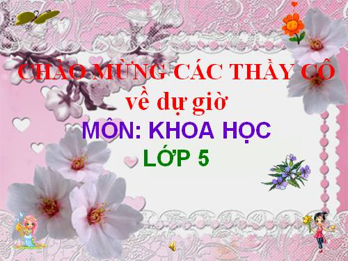 Bài 28. Xi măng