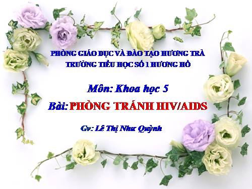 Bài 16. Phòng tránh HIV / AIDS