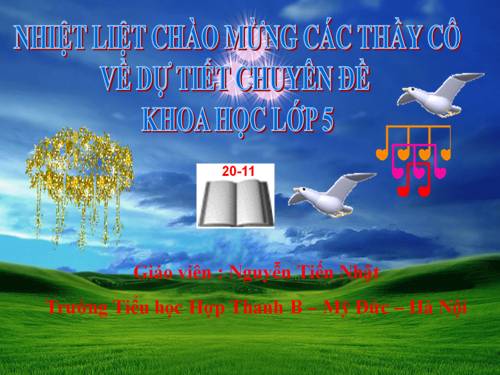 Bài 9-10. Thực hành: Nói "Không!" đối với các chất gây nghiện