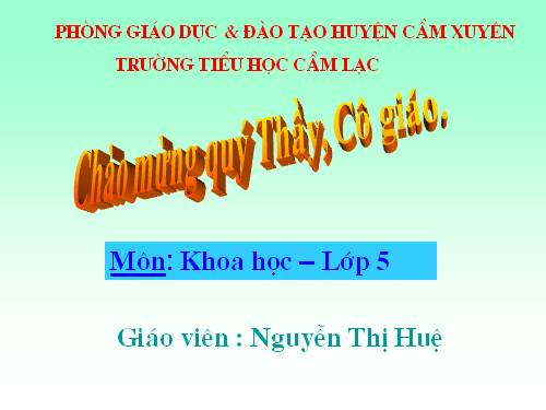 Bài 16. Phòng tránh HIV / AIDS