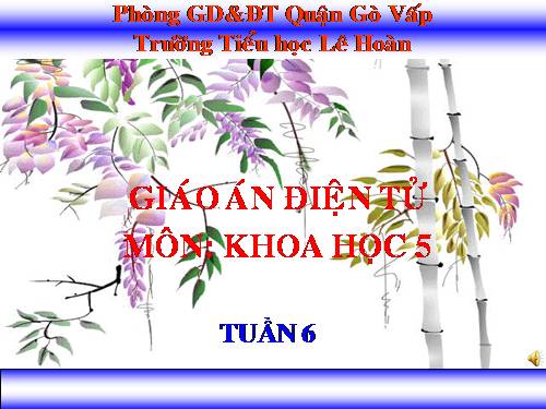 Bài 11. Dùng thuốc an toàn