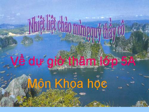 Bài 26. Đá vôi