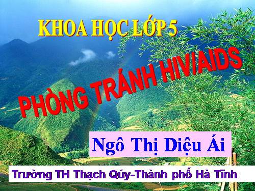 Bài 16. Phòng tránh HIV / AIDS