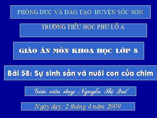 Bài 58. Sự sinh sản và nuôi con của chim