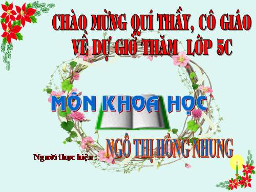 Bài 13. Phòng bệnh sốt xuất huyết