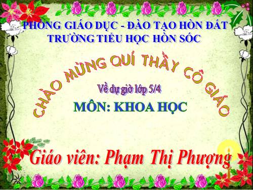 Bài 31. Chất dẻo