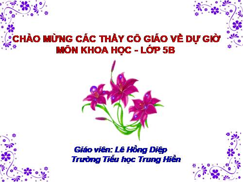 Bài 14. Phòng bệnh viêm não