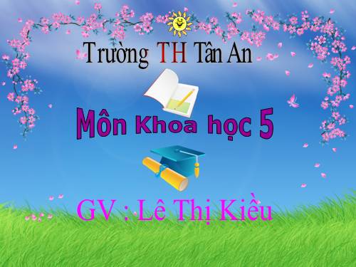 Bài 15. Phòng bệnh viêm gan A