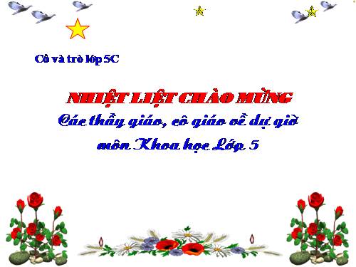Bài 15. Phòng bệnh viêm gan A