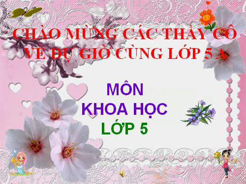 Bài 28. Xi măng