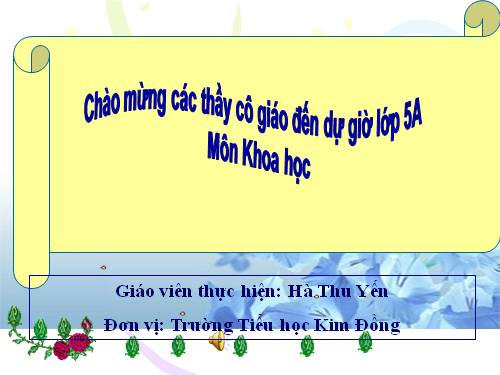 Bài 24. Đồng và hợp kim của đồng