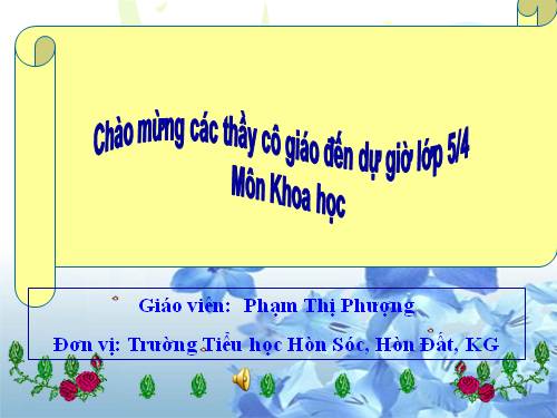 Bài 24. Đồng và hợp kim của đồng