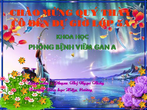 Bài 15. Phòng bệnh viêm gan A