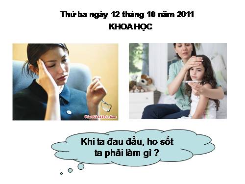 Bài 11. Dùng thuốc an toàn