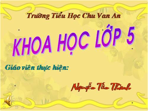 Bài 24. Đồng và hợp kim của đồng