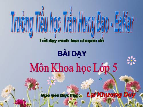 Bài 19. Phòng tránh tai nạn giao thông đường bộ
