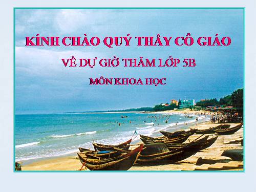 Bài 16. Phòng tránh HIV / AIDS