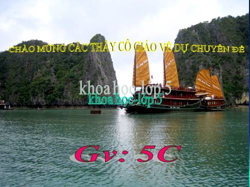 Bài 19. Phòng tránh tai nạn giao thông đường bộ