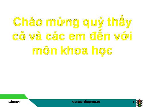 Bài 19. Phòng tránh tai nạn giao thông đường bộ
