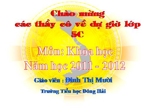 Bài 18. Phòng tránh bị xâm hại