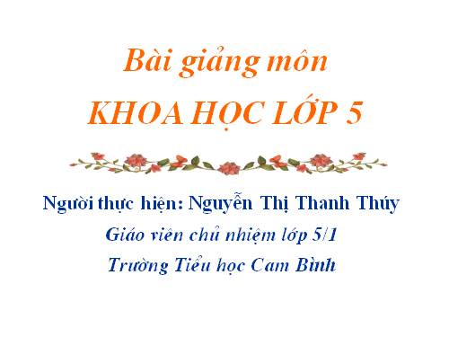 Bài 15. Phòng bệnh viêm gan A