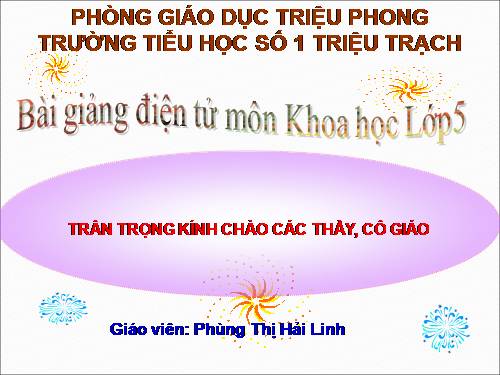 Bài 13. Phòng bệnh sốt xuất huyết