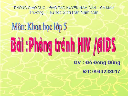 Bài 16. Phòng tránh HIV / AIDS