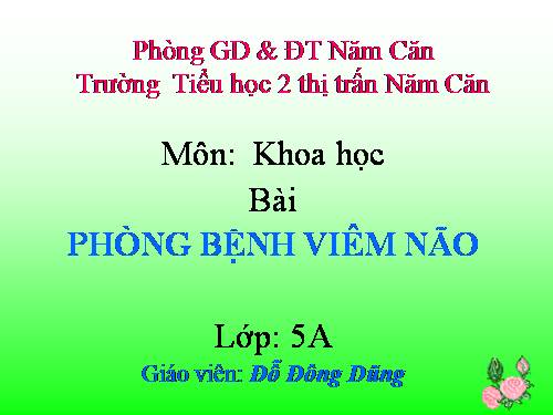 Bài 14. Phòng bệnh viêm não