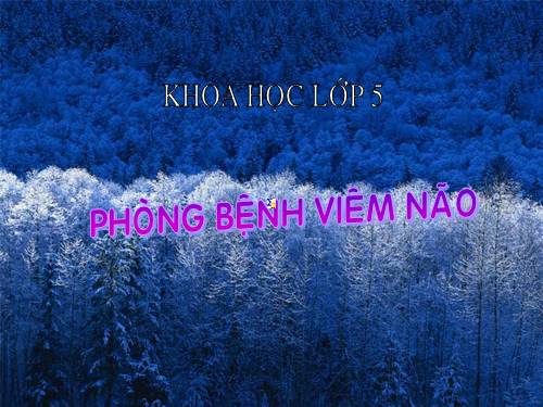 Bài 14. Phòng bệnh viêm não