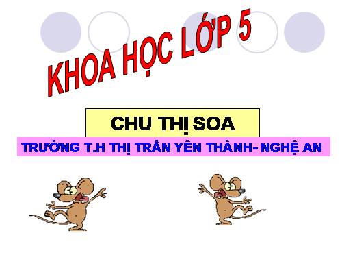 Bài 13. Phòng bệnh sốt xuất huyết