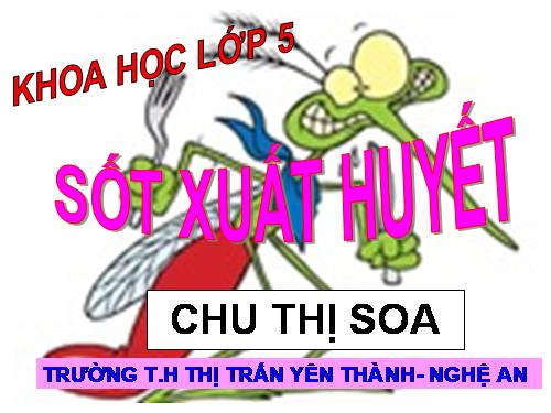 Bài 13. Phòng bệnh sốt xuất huyết