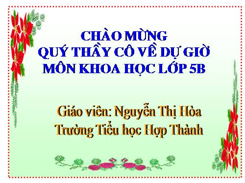 Bài 36. Hỗn hợp