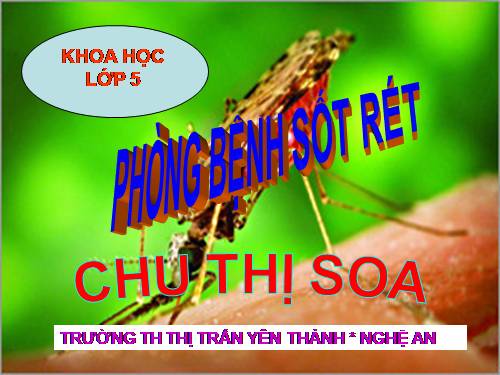 Bài 12. Phòng bệnh sốt rét