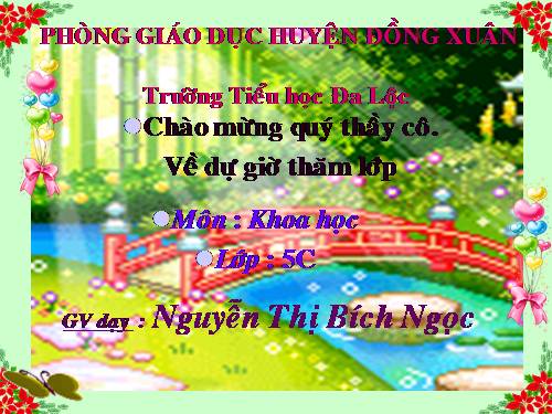 Bài 19. Phòng tránh tai nạn giao thông đường bộ