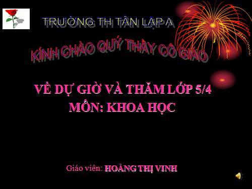 Bài 15. Phòng bệnh viêm gan A