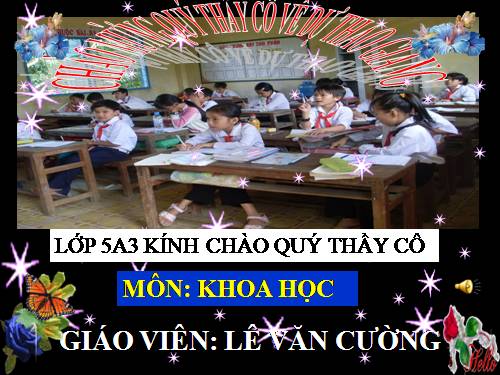 Bài 19. Phòng tránh tai nạn giao thông đường bộ