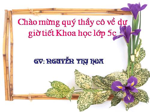 Bài 35. Sự chuyển thể của chất