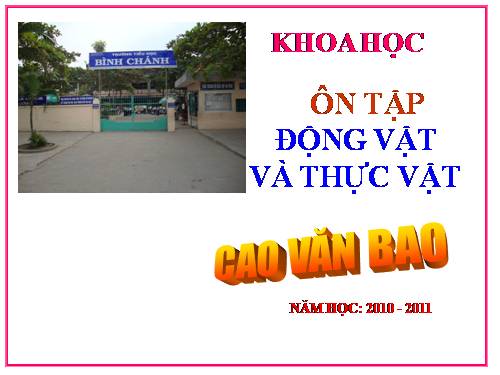 Bài 61. Ôn tập: Thực vật và động vật